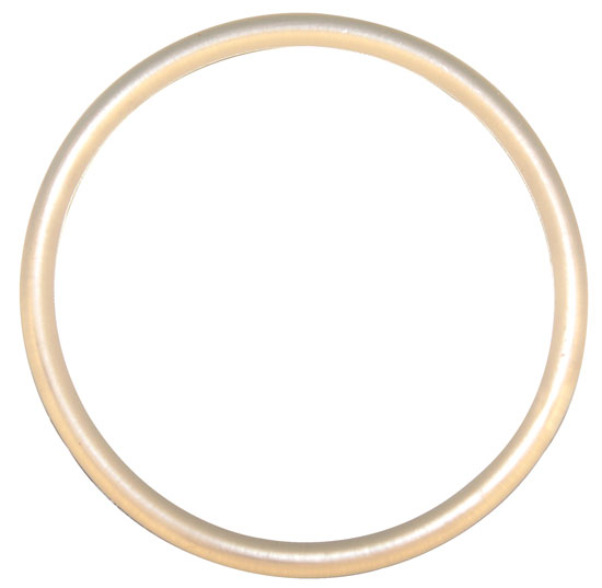 Уплотнительное кольцо крышки  170 х 12, для фильтров РТК, Aster, Brillant